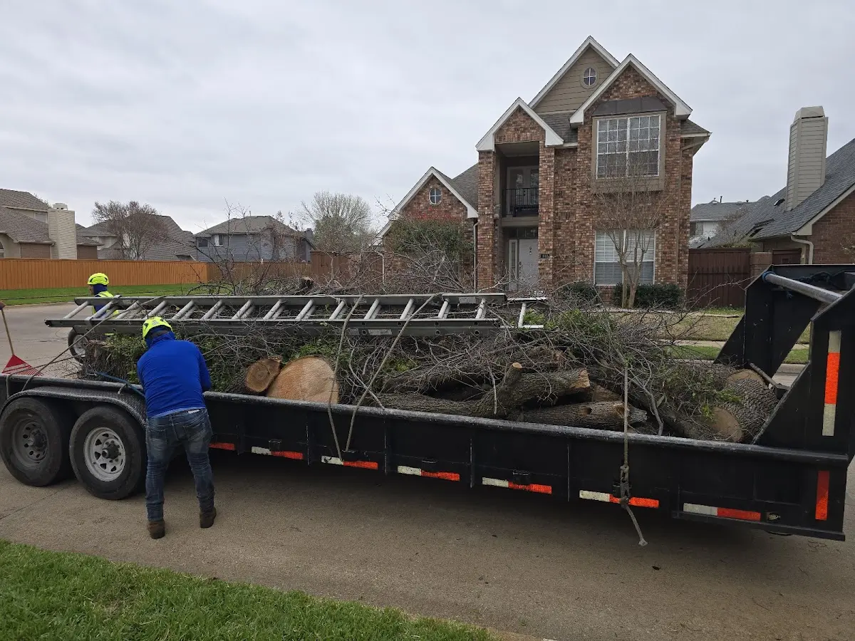 Expert Tree Removal with proper safety equipment in Spencer